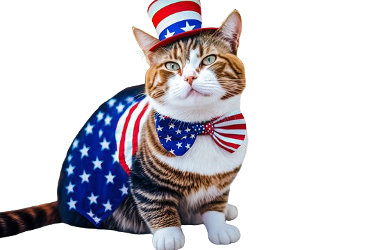 USA Cat Logo